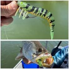 ZEREK LIVE SHRIMP 5" [COL:BURDEKIN BLITZ]