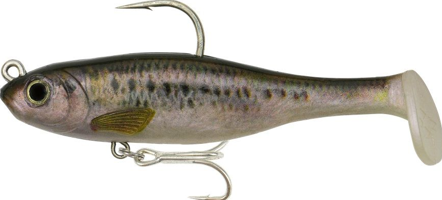 FISHCRAFT DR SHAD 125MM [COL:BONEY]